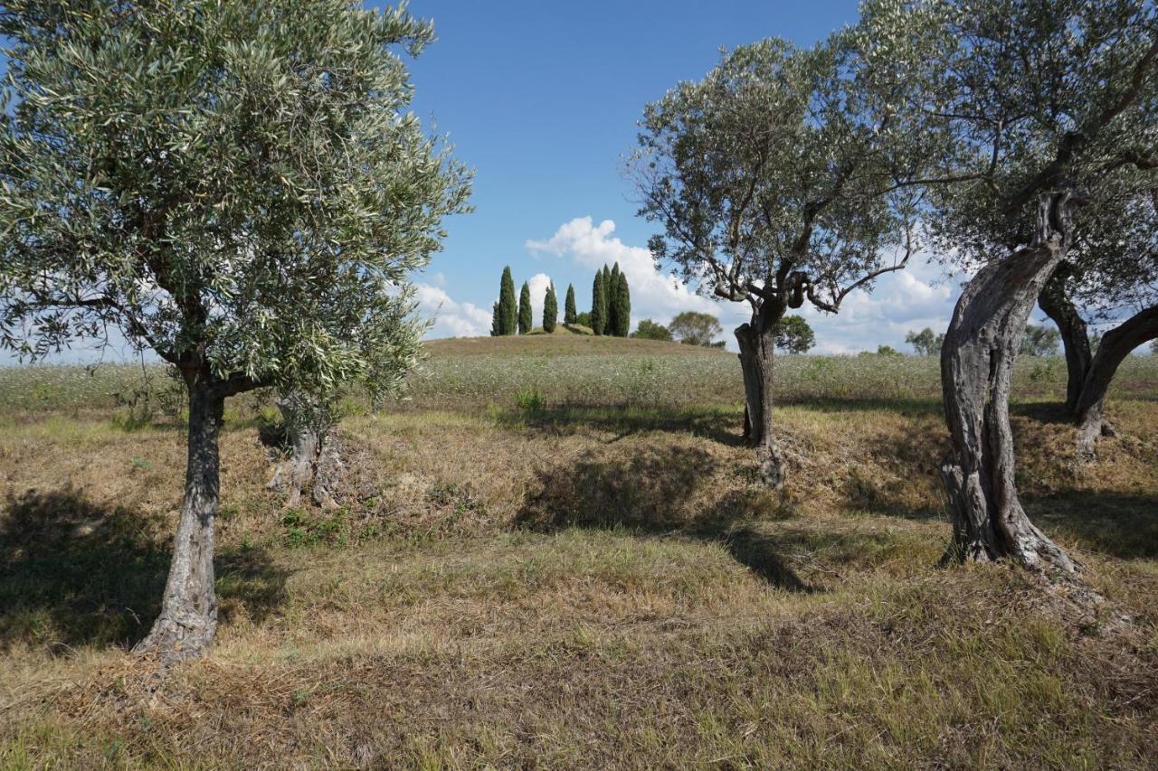 Farm stay Cheloni Guasticce