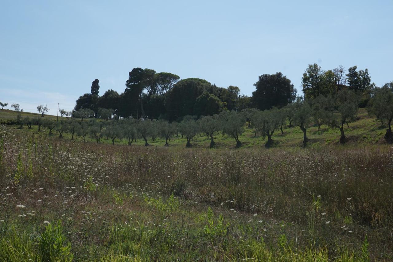 Farm stay Cheloni *